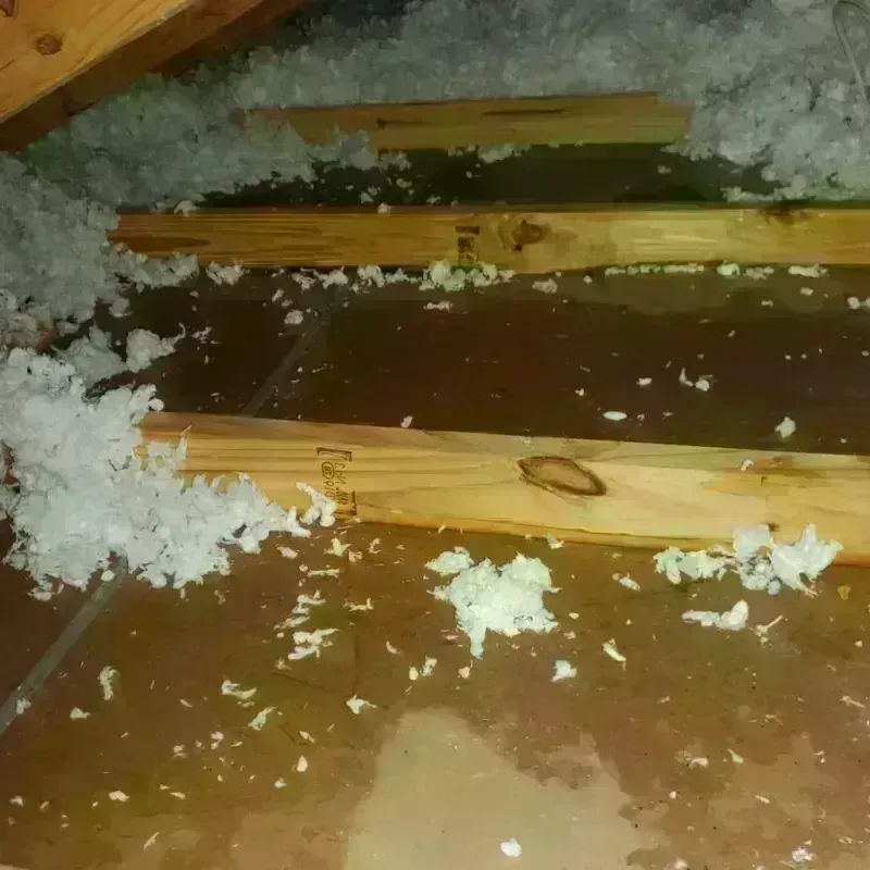 Attic Water Damage in Rutland, MA